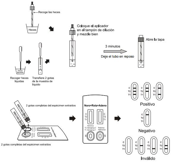 Rotavirus commode de Norovirus et examens de diagnostic d'adénovirus avec le passage de la CE