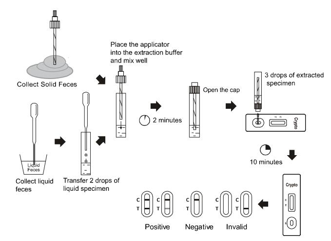 Bandes d'essai latérales d'écoulement de haute de sensibilité de Cryptosporidium d'essai cassette diagnostique de kit