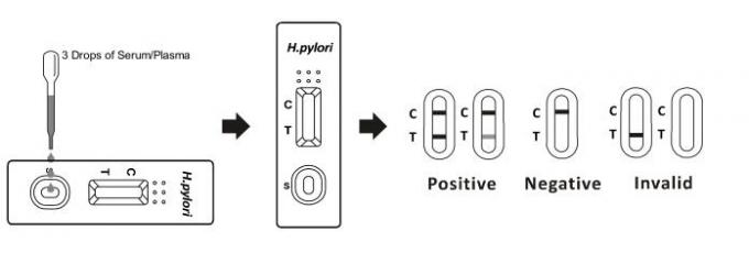 Cassette rapide d'essai d'anticorps de pylores de H. (sérum /Plasma) avec du CE