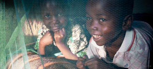 Latest company news about L'OMS recommande l'utilisation des moustiquaires Pyréthroïde-traitées pour la prévention de malaria