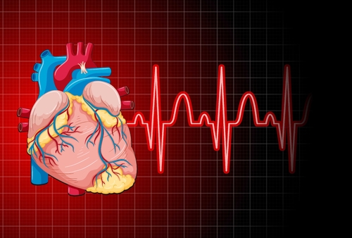 Latest company news about Récupération d'une crise cardiaque : La mort de muscle de boîte ait été renversé ?