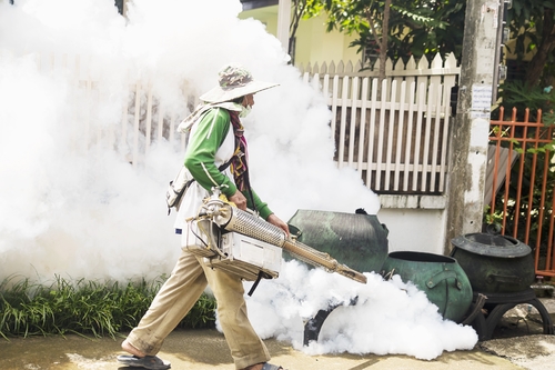 Latest company news about Attention ! Les cas de dengue sautent 223%