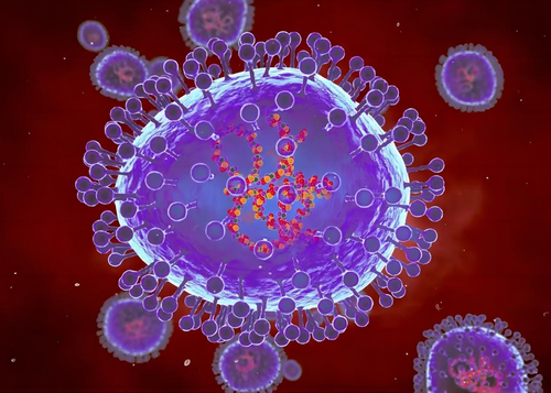 Dernières nouvelles de l'entreprise Les cas de HMPV augmentent de 36% en 2023 : Metapneumovirus humain sur la hausse