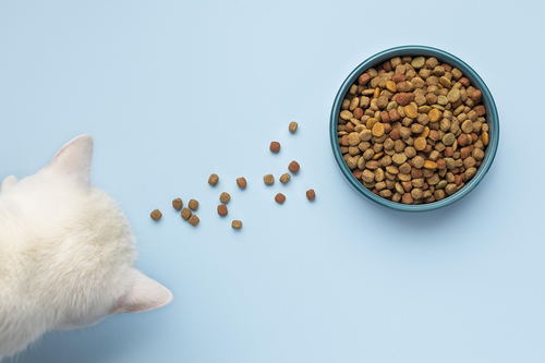 Dernières nouvelles de l'entreprise La tendance à la nourriture crue pour animaux de compagnie: un risque pour la santé des animaux et de leurs propriétaires