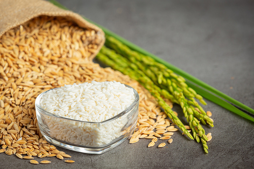 Latest company news about L'impact du changement climatique sur les niveaux d'arsenic dans le riz