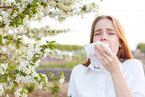 Dernières nouvelles de l'entreprise Les allergies printanières s'intensifient : comment protéger votre santé