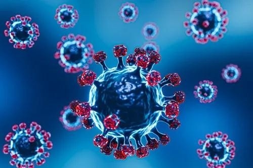 Dernières nouvelles de l'entreprise L'OMS est la Science dans 5 sur COVID-19 : Pourquoi experts sont préoccupés par Omicron ?
