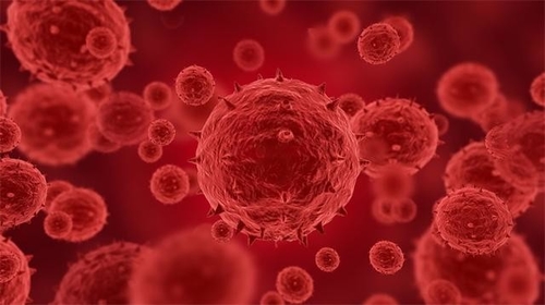 Latest company news about Plus de 100 confirmés ou cas suspectés de monkeypox ont été rapportés dans 12 pays, y compris les USA
