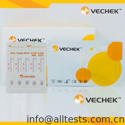 Bon prix Casette de test rapide combiné antigénique pour le rotavirus+cryptosporidia+coronavirus+E. Coli K99 +E. Coli O157 (féces) en ligne