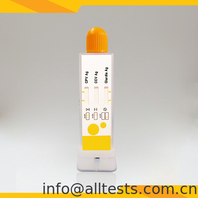 Good price Kit de test de diagnostic rapide pour le CPV CCV Giardia Lamblia dans les matières fécales en ligne