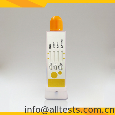 Good price Rotavirus Cryptosporidia Coronavirus E. Coli Antigen Combo Test rapide échantillon de selles en ligne