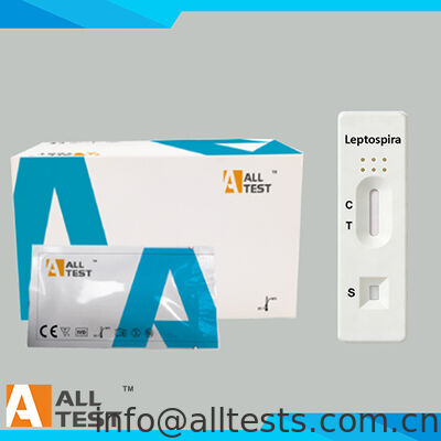 Bon prix Test rapide Leptospira IgM avec temps de lecture de 15 minutes, certifié CE et haute précision pour sang total/sérum/plasma en ligne