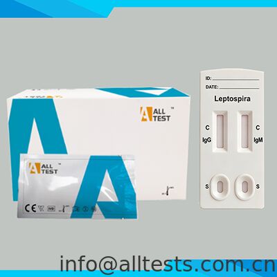 Bon prix Leptospira IgG/IgM Combo Rapid Test avec temps de lecture de 15 minutes Certifié CE pour l'échantillon de sang entier/sére/plasma en ligne