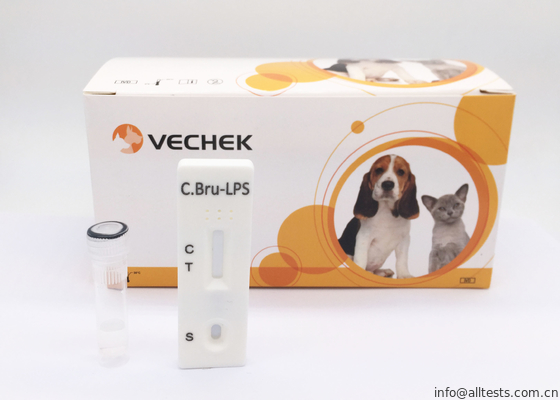 Good price C Bru - la vitesse d'exactitude rapide de kits d'essai de cassette d'anticorps de Lps a atteint 98% en ligne